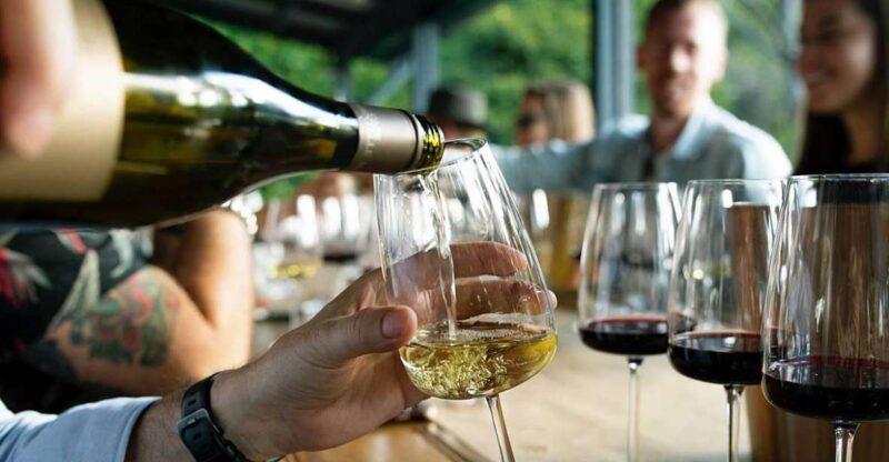 Private Lisbon Arrábida Wine Tour: Culture, Scenery & Wines - Arrábida’s Vineyards: Quinta da Bacalhôa and Quinta de Catralvos