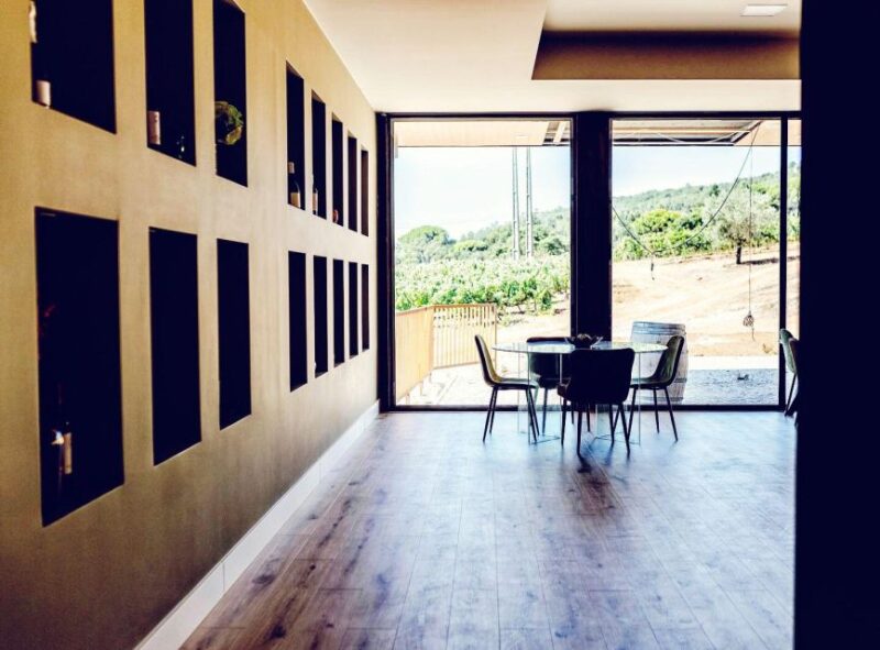 Private Lisbon Arrábida Wine Tour: Culture, Scenery & Wines - Second Winery Visit: More Tasting and Guided Tour