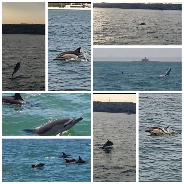 Private Lisbon Sightseeing Sailing Boat Tour with Locals - Exploring Lisbon’s Key Sights From the Water