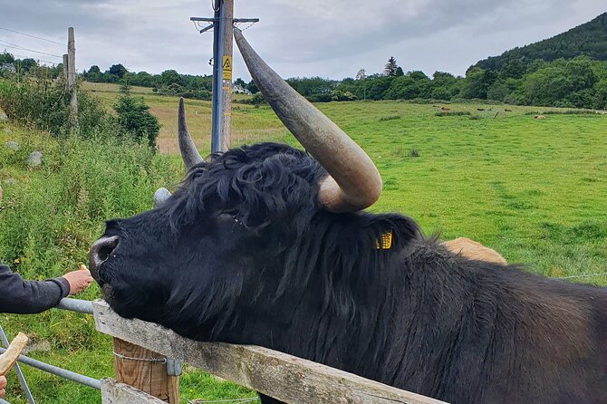 Private Loch Ness & Highland Adventure Guided Tour - Fort Augustus and Highland Scenery