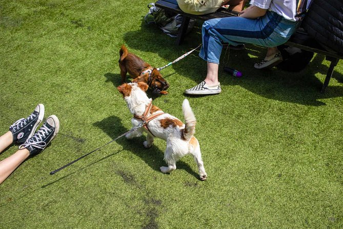 Private London Street Photography Workshop - Why This Workshop Stands Out in London