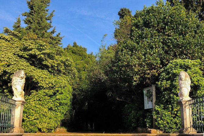 Private Lopud Walking Tour - The 15th Century Church of St. Nicolas