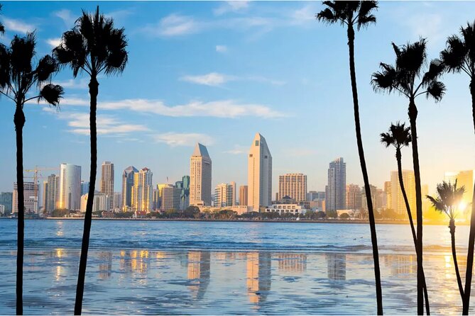 Private Los Angeles Sightseeing by Car Iconic Landmarks - Santa Monica Pier and Venice Beach Highlights