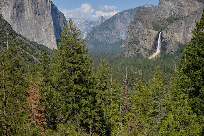 Private Los Angeles to Yosemite Valley Multi Day Tour - Starting in Sequoia: From Tunnel Rock to the General Sherman Tree