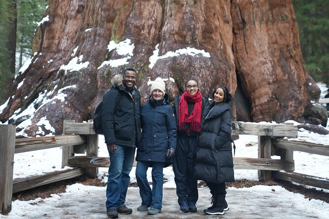 Private Los Angeles to Yosemite Valley Multi Day Tour - Marvel at Yosemite’s Most Famous Views: Tunnel View and Valley Landmarks