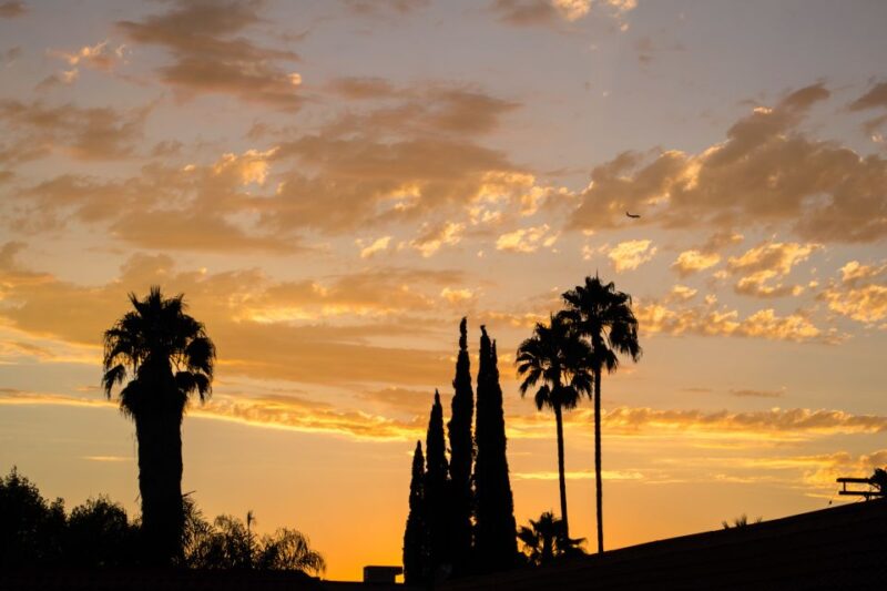 Private Los Angeles Tour by Night - Exploring LA’s Nighttime Skyscraper Views in the Financial District