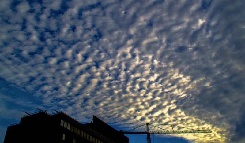 Private Los Angeles Tour by Night - The Iconic Chinese Theatre and Dolby Theater Finale