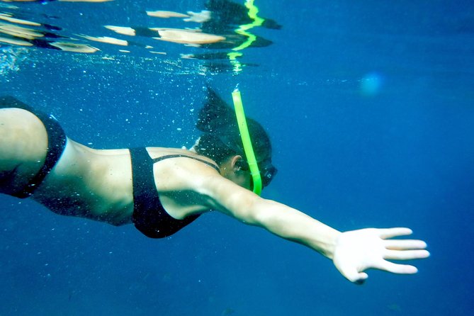 Private Los Arcos Snorkel and Beach Tour from Puerto Vallarta - Discover the Private Los Arcos Snorkel and Beach Tour from Puerto Vallarta