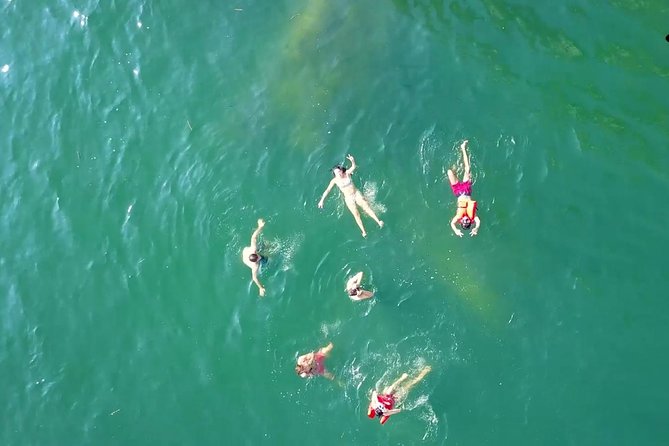 Private Los Arcos Snorkel and Beach Tour from Puerto Vallarta - The Experience with Guides and Crew