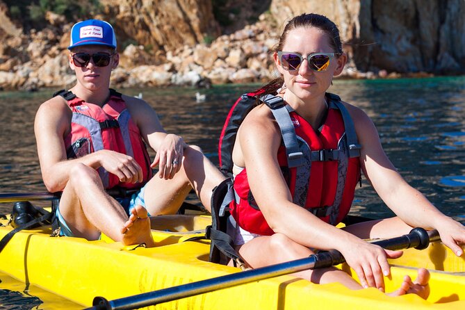 Private Los Cabos Arch and Playa del Amor Tour by Glass Bottom Kayak - Snorkeling and Marine Encounters