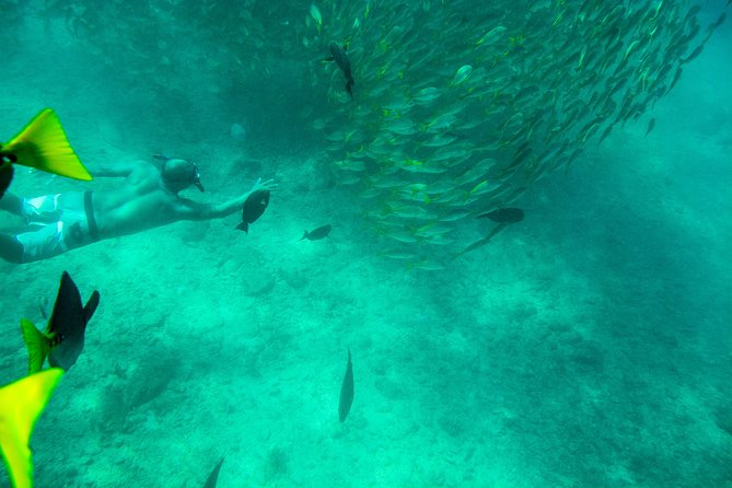 Private Los Cabos snorkeling tour to Chileno bay and Santa Maria cove - Experience Your Ideal Snorkeling Time