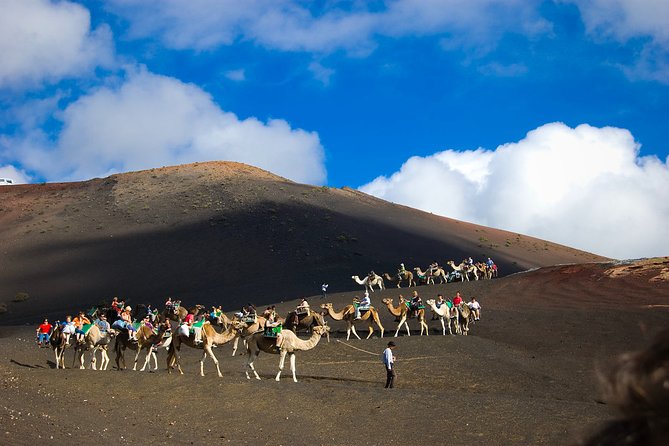 Private Luxury 4 hours Tour to the National Park of Timanfaya - The Booking Process and Cancellation Policy