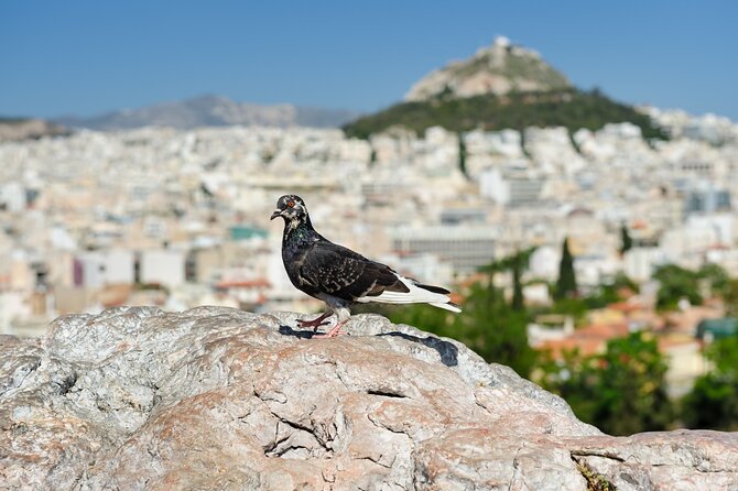 Private Luxury Biblical Tour: Apostle Paul in Athens & Corinth - Key Points