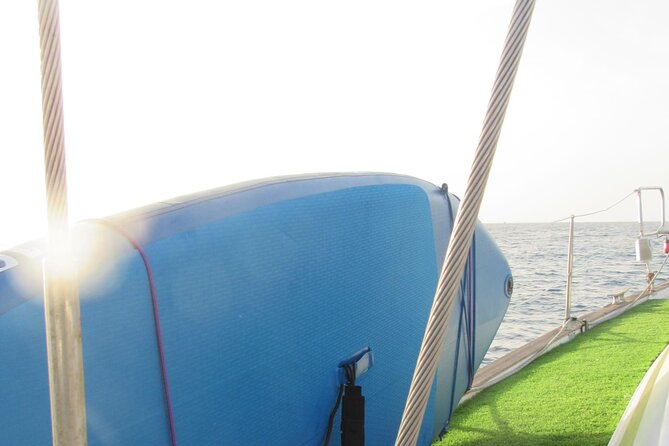 Private Luxury Boat Excursion Tour in Puerto Colon - Dolphin Watching and Whale Spotting Experiences