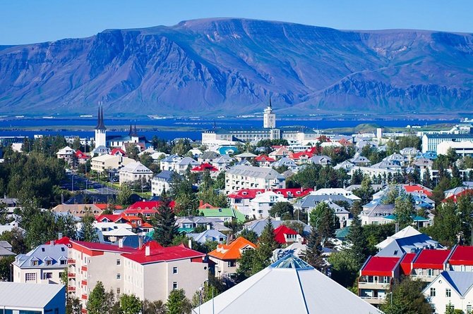 Private Luxury City Tour Reykjavik - Flexibility and Customization in Your Private Tour