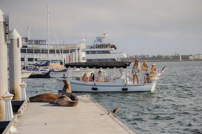 Private Luxury E-Boat Cruise with Wine, Charcuterie & Sea Lions Spotting - Discover the Private Luxury E-Boat Cruise in Santa Monica