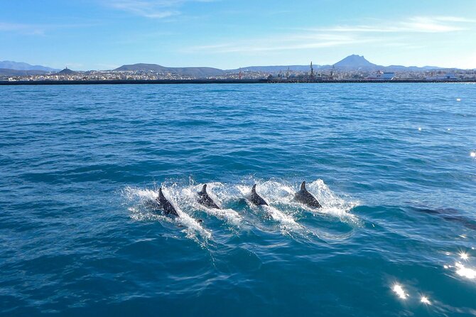 Private luxury Escape Sailing, Snorkel and Lunch Cruise - Starting Point in Iraklio: Convenient Meeting at Cafe Marina