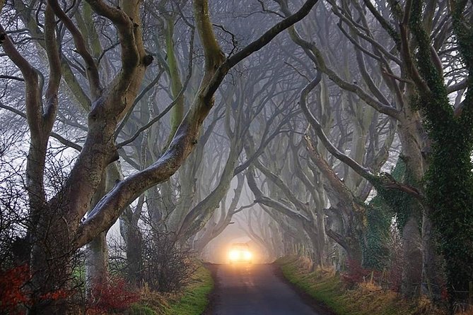 Private Luxury Mercedes Rope Bridge Giants Causeway Coastal Tour - The Historic Ruins of Dunseverick Castle and Its Past