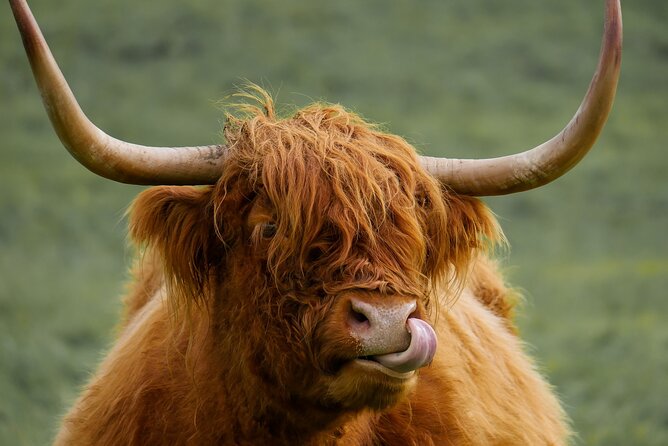 Private Luxury Mini Highlands Tour From Edinburgh - Braveheart - Passing Through Callander and the Trossachs