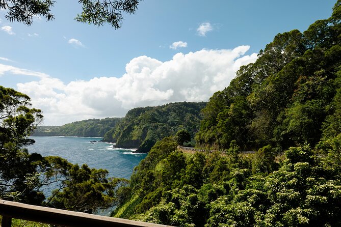 Private Luxury SUV Road to Hana Experience - Key Points
