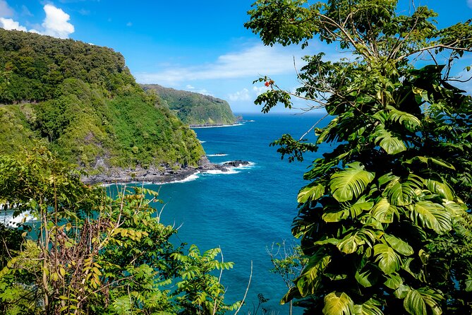 Private Luxury SUV Road to Hana Experience - Scenic Viewpoints and Cultural Insights with Local Snacks