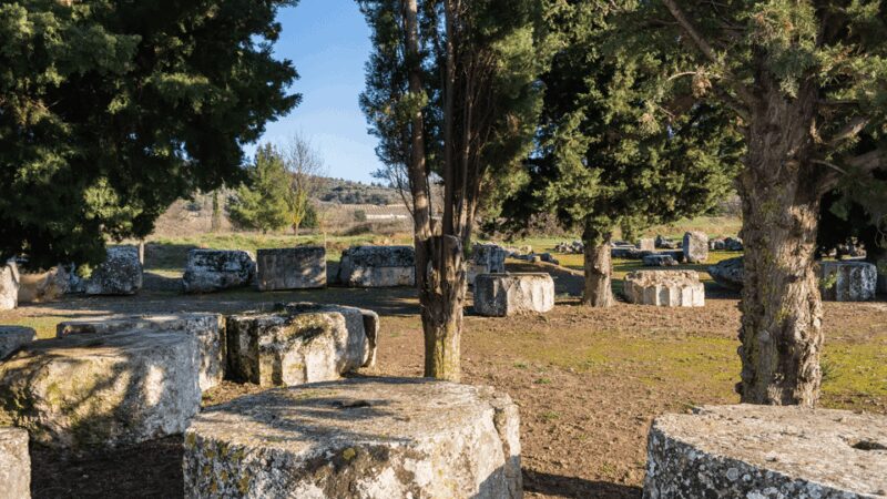 Private Luxury Tour: Nemea's Ancient Sites & Wine Tasting - Discover Nemeas Ancient Ruins and Fine Wines in Greece’s Premier Region