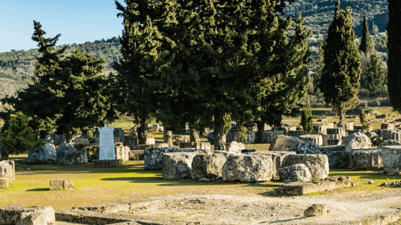 Private Luxury Tour: Nemea's Ancient Sites & Wine Tasting - Practical Tips and What’s Not Included
