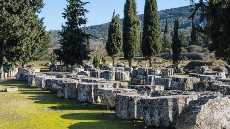 Private Luxury Tour: Nemea's Ancient Sites & Wine Tasting - Who Should Book This Tour?