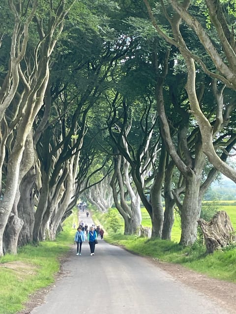 Private luxury tour of Belfast & giants causeway tickets inc - Discover Belfast and the Giants Causeway in Style with a Private Luxury Tour