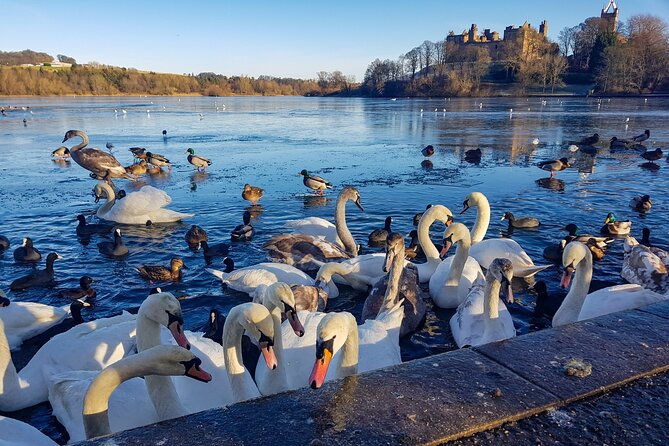Private Luxury Tour of Loch Lomond, Oban, Glencoe & The Highlands - The Coastal Charm of Oban