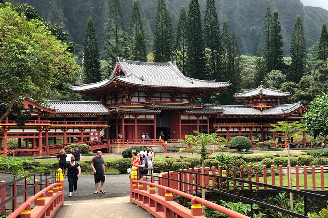 Private luxury tour of Oahu island - Watching Surfers at Waimea Bay