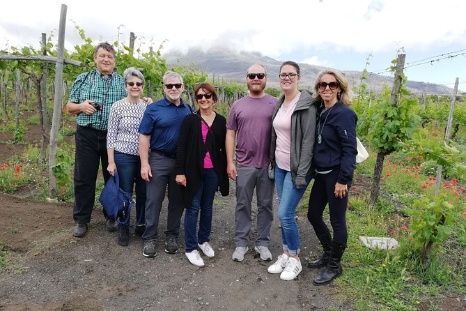 Private Luxury Transfer from Rome to Sorrento or Amalfi Coast - Insurance and Vehicle Standards