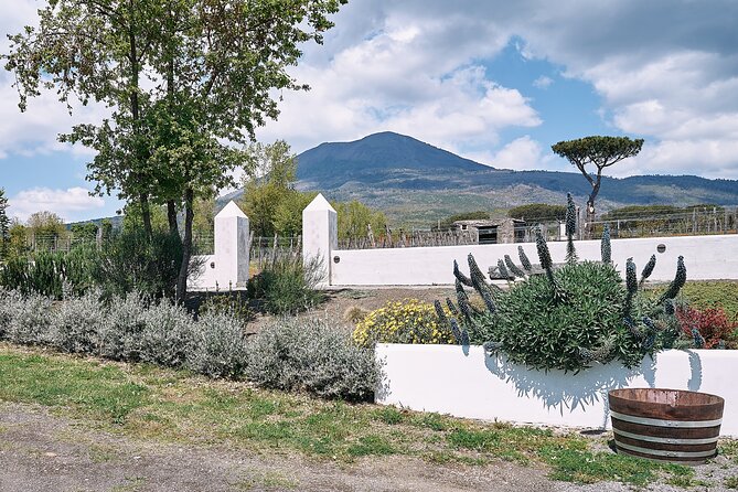 Private Luxury Transfer from Rome to Sorrento or Amalfi Coast - Cancellation Policy and Booking Flexibility