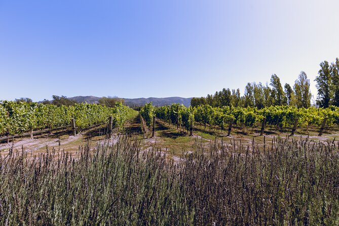 Private Luxury Transportation Experience - Sonoma - Pricing and Reservation Flexibility