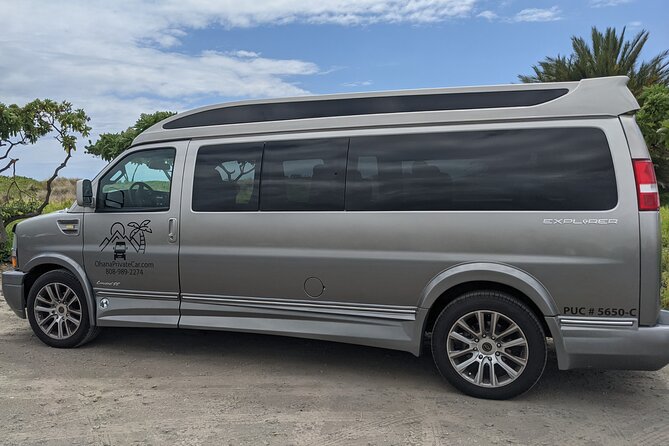 Private Luxury Van with Driver to Big Island Destinations of Your Choice - Key Points