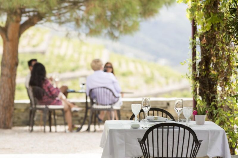 Private Luxury Wine & Food Tour in Douro - Logistics and Practical Tips