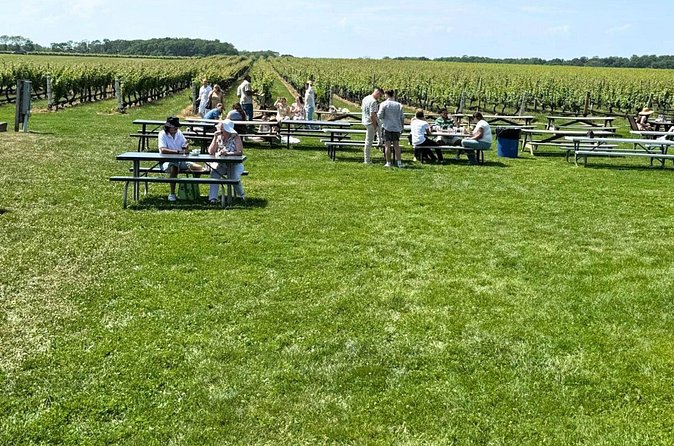 Private Luxury Wine Tours of Long Island Pindar Winery - Flexibility and Cancellation Terms