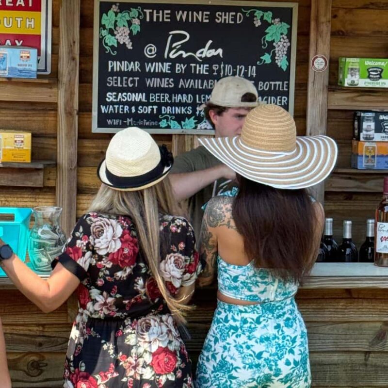 Private Luxury Winery Trip of Long Island, New York, USA - Optional winery lunch with scenic views