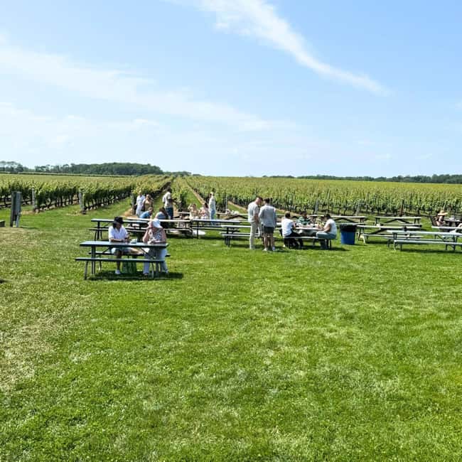 Private Luxury Winery Trip of Long Island, New York, USA - Practical details: duration, timing, and group size