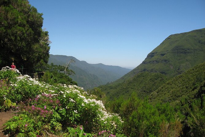 Private Madeira tour 8 people - Experience the Guides’ Expertise and Personal Touch