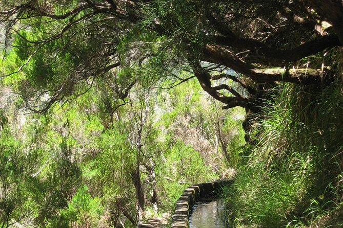 Private Madeira tour 8 people - Comparing this Tour to Other Madeira Experiences