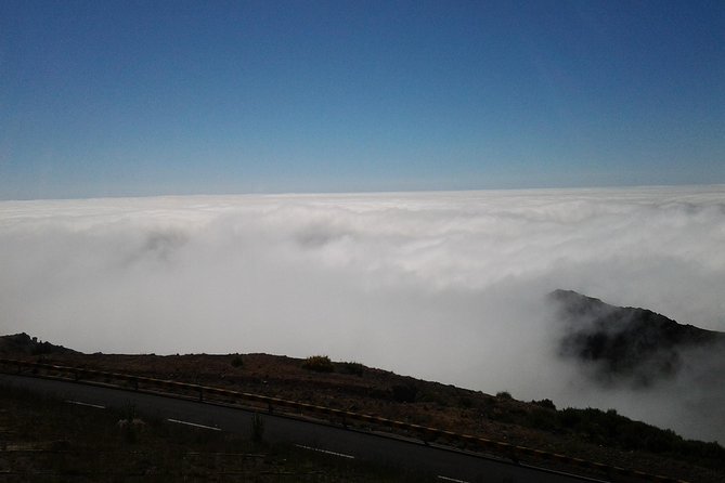 Private Madeira Tour up to 4 people - Comfort and Convenience in a Private Vehicle