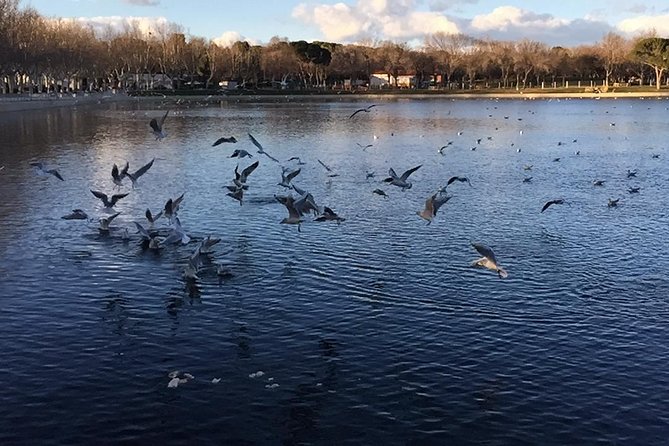 Private Madrid Fullday Guided Tour with Dlx Car - Practical Details and Logistics