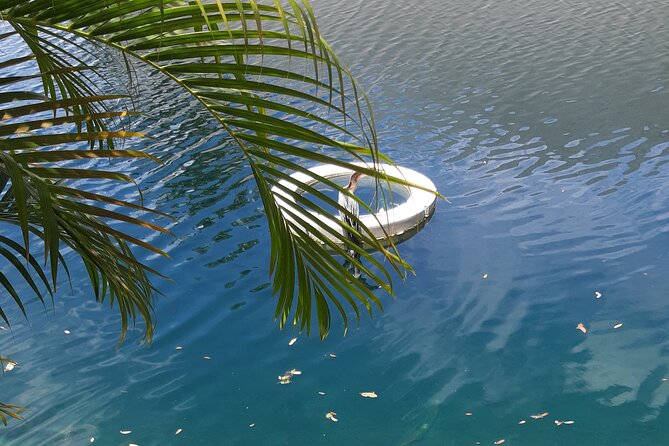 Private Magic City Tour with Transfers Experience - Key Points