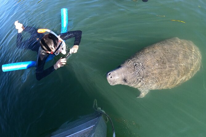Private Manatee Snorkeling Tour - Flexibility and Ease of Cancellation