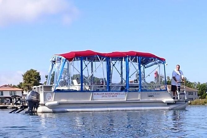 Private Manatee Swim Crystal River FL 6 Passenger Max Free Photos - Key Points