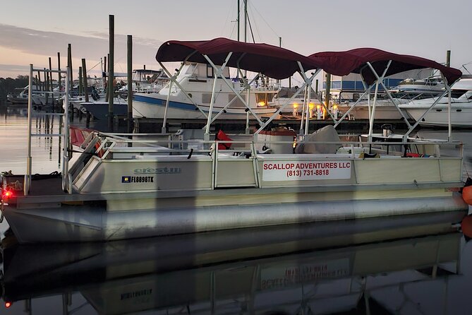 Private Manatee Swim Crystal River FL 6 Passenger Max Free Photos - Swimming and Snorkeling in Crystal Rivers Clear Springs