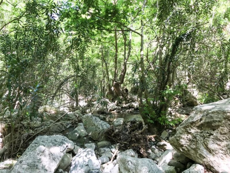 Private : Margarites village-Arkadi Monastery-Patsos Gorge - Frequently Asked Questions