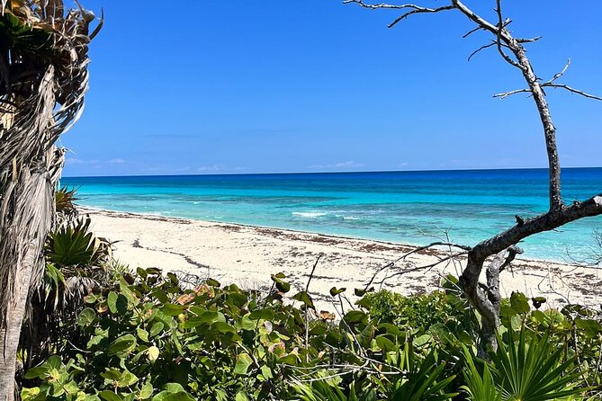 Private Mayan Ruins Tour with Cenote/caves and Mexican Picnic - Flexible Scheduling and Cancellation Policy