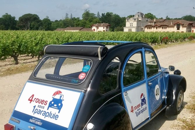 Private Médoc 4.5 hours Wine Tour in a Citroën 2CV from Bordeaux - Reviews Reflecting Strong Satisfaction